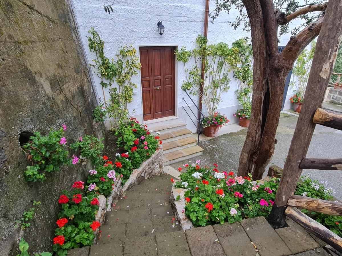 Вилла Casa Betania Da Peppe Сорренто Экстерьер фото